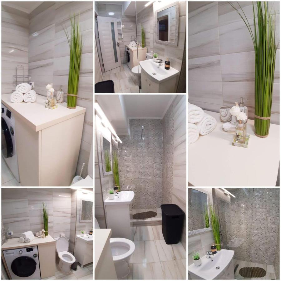 Alex Sofi Studio Navodari Bagian luar foto